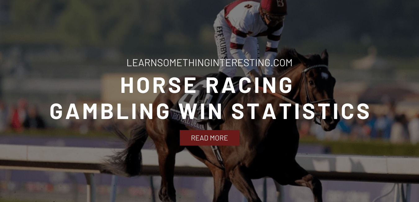 Learn Something Interesting Horse Racing Gambling Win Statistics